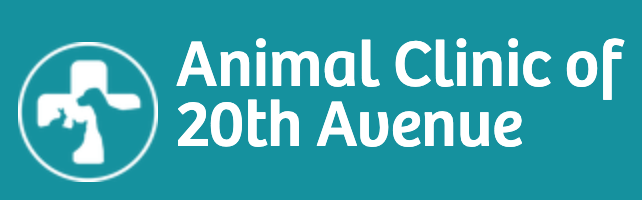 Animal Clinic of 20th Avenue