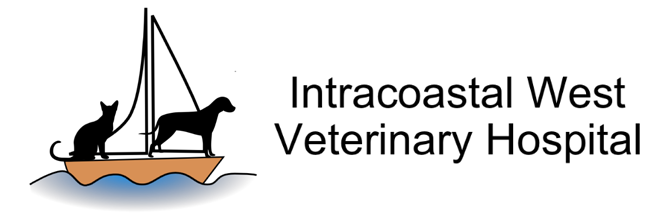 Intracoastal West Veterinary Hospital