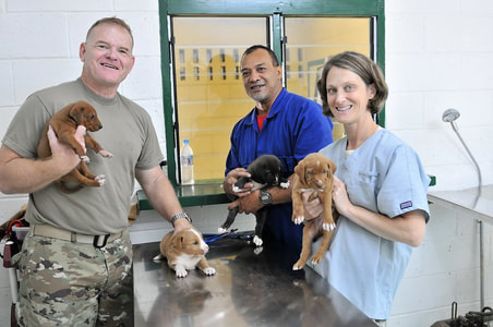 Veterinary Practice Clients